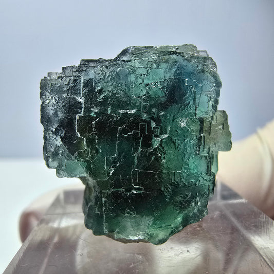 Spécimen de cube de fluorite fantôme, vert parqueté Okorusu, Namibie 21*21*18 mm 