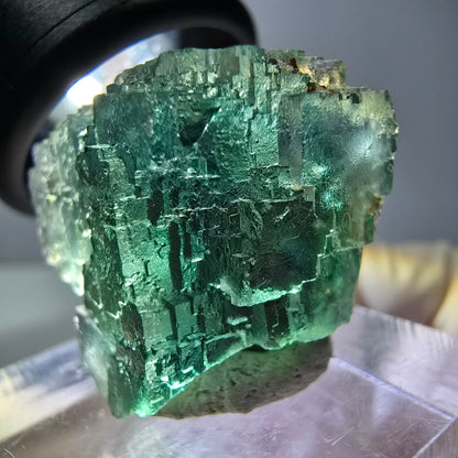 Spécimen de cube de fluorite fantôme, vert parqueté Okorusu, Namibie 21*21*18 mm 