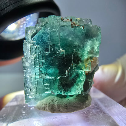 Spécimen de cube de fluorite fantôme, vert parqueté Okorusu, Namibie 21*21*18 mm 