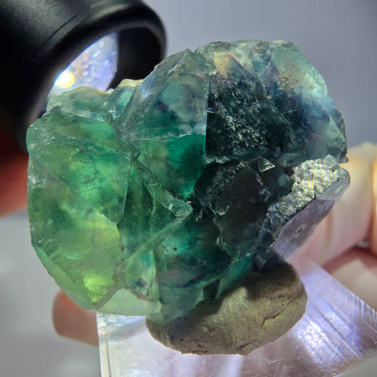 Spécimen de cube de fluorite fantôme, vert parqueté Okorusu, Namibie 33*29*20mm 