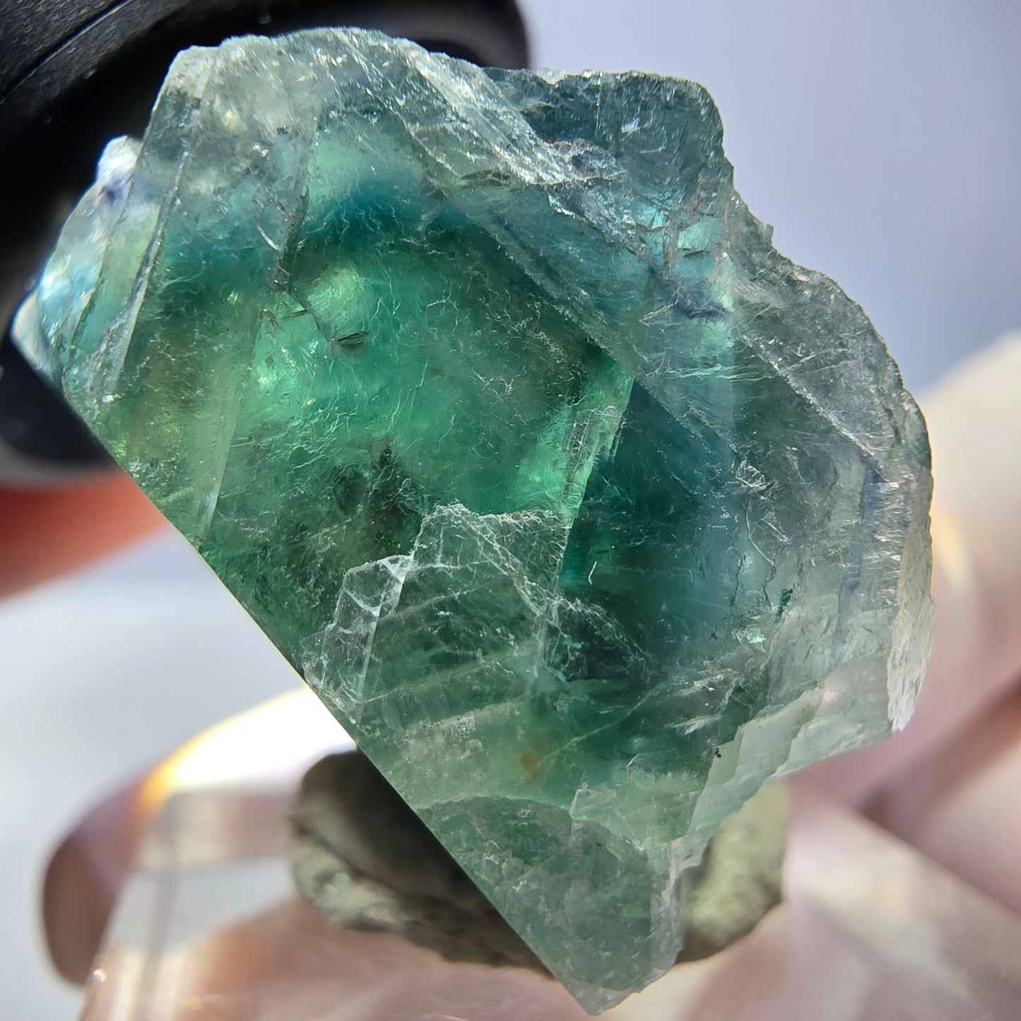 Spécimen de cube de fluorite fantôme, vert parqueté Okorusu, Namibie 33*29*20mm 