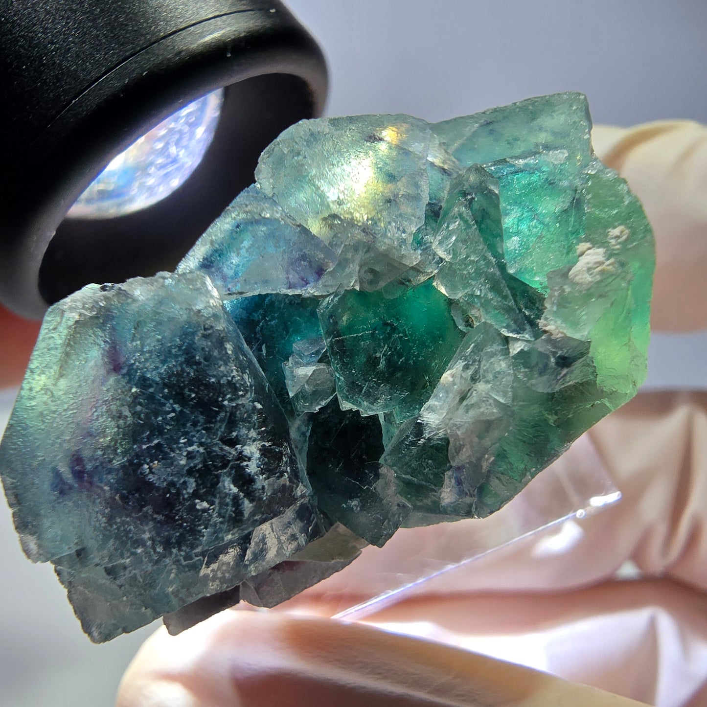 Spécimen de cube de fluorite fantôme, vert parqueté Okorusu, Namibie 33*29*20mm 