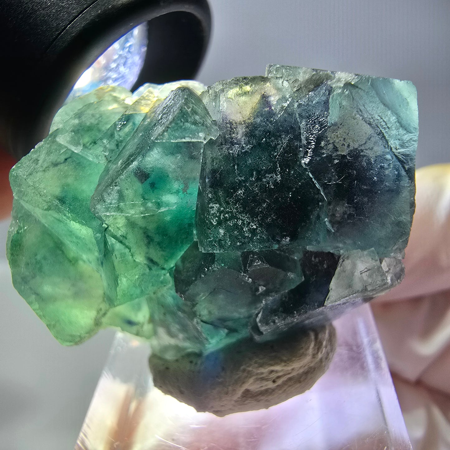 Spécimen de cube de fluorite fantôme, vert parqueté Okorusu, Namibie 33*29*20mm 