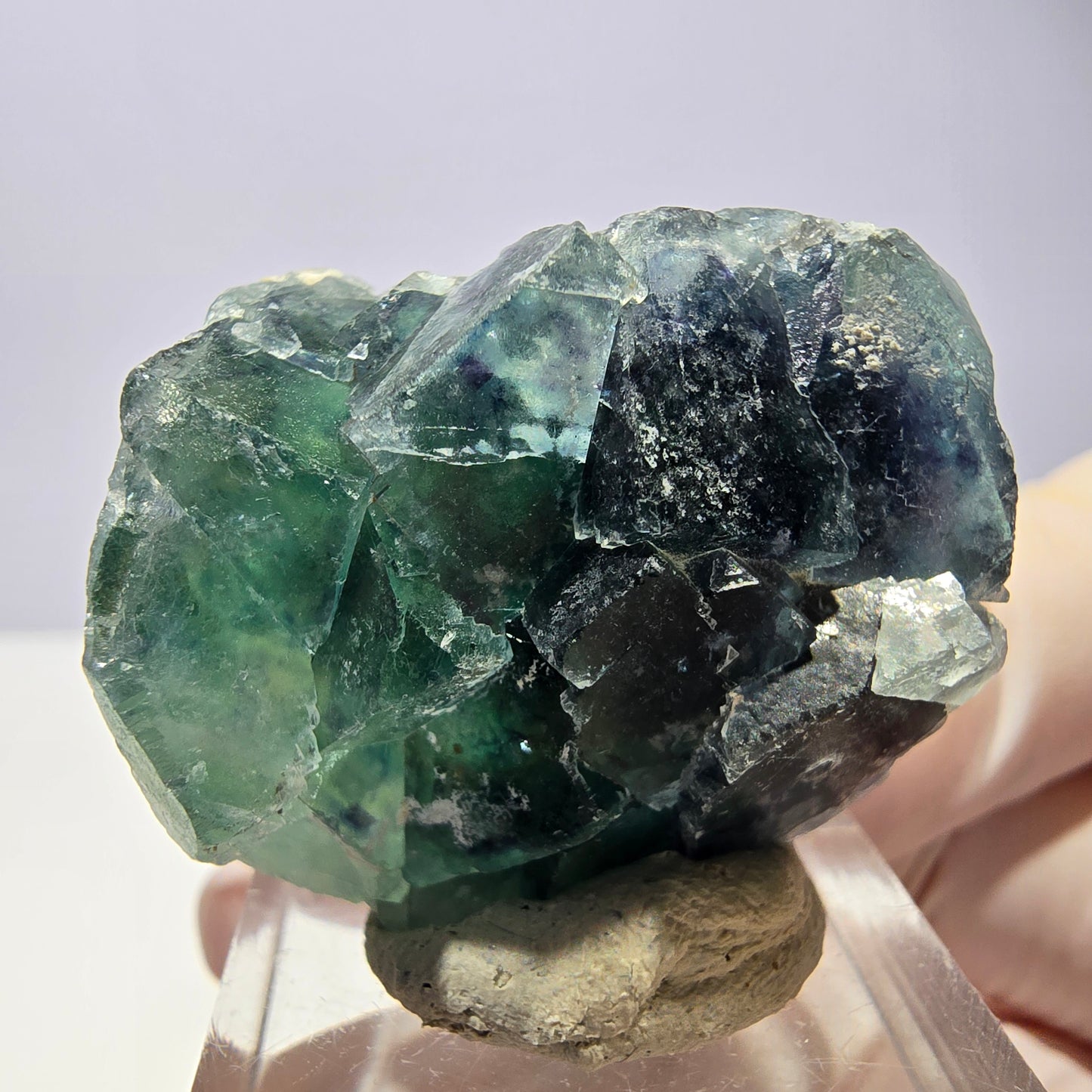Spécimen de cube de fluorite fantôme, vert parqueté Okorusu, Namibie 33*29*20mm 