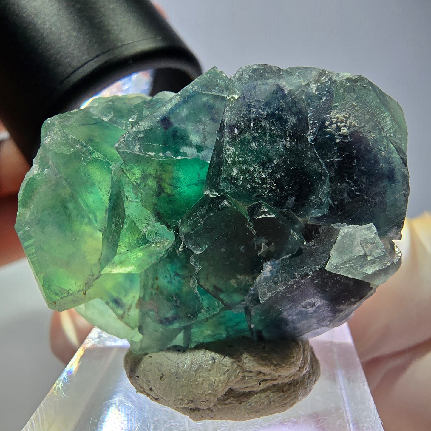 Spécimen de cube de fluorite fantôme, vert parqueté Okorusu, Namibie 33*29*20mm 
