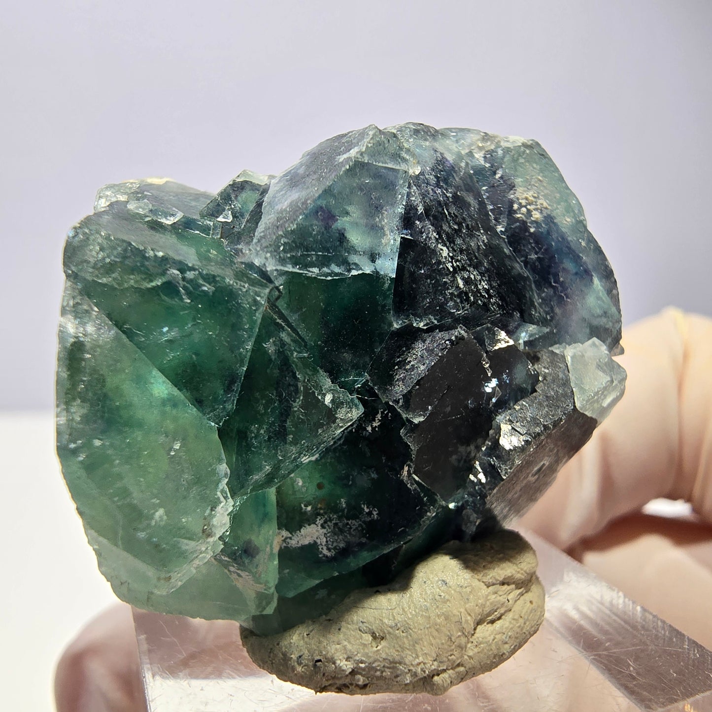Spécimen de cube de fluorite fantôme, vert parqueté Okorusu, Namibie 33*29*20mm 