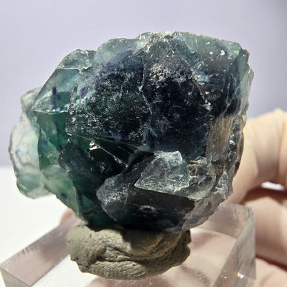 Spécimen de cube de fluorite fantôme, vert parqueté Okorusu, Namibie 33*29*20mm 