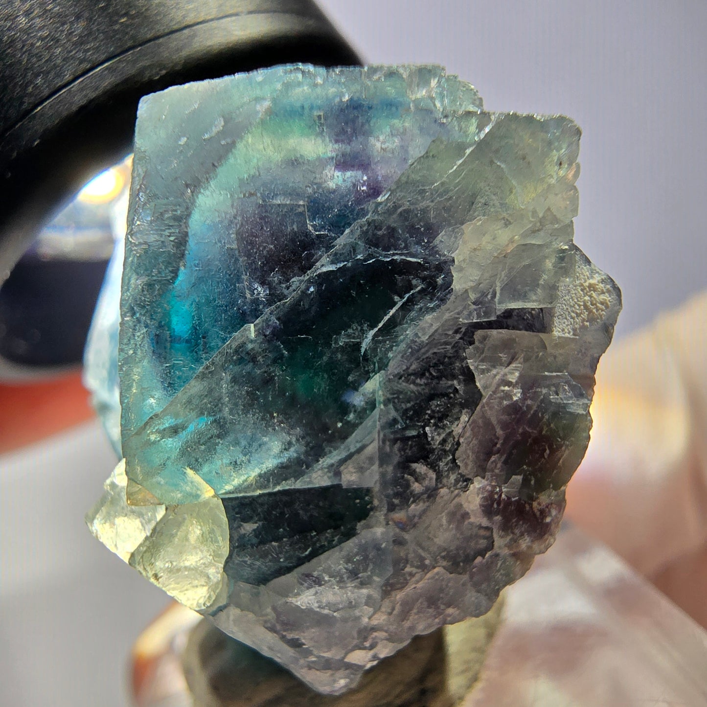 Spécimen de cube de fluorite fantôme, vert parqueté Okorusu, Namibie 33*29*20mm 