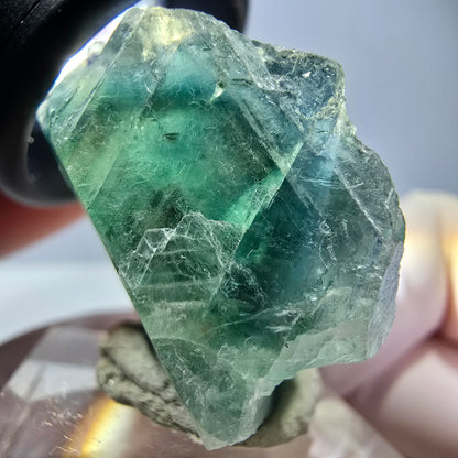 Spécimen de cube de fluorite fantôme, vert parqueté Okorusu, Namibie 33*29*20mm 