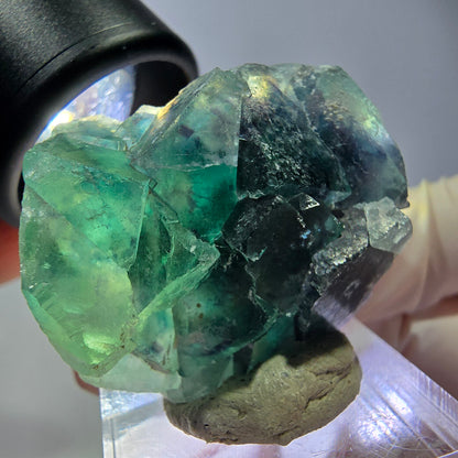 Spécimen de cube de fluorite fantôme, vert parqueté Okorusu, Namibie 33*29*20mm 