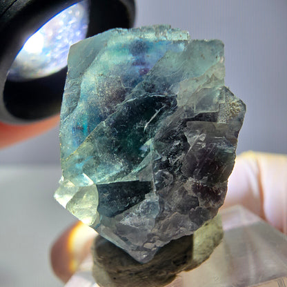 Spécimen de cube de fluorite fantôme, vert parqueté Okorusu, Namibie 33*29*20mm 