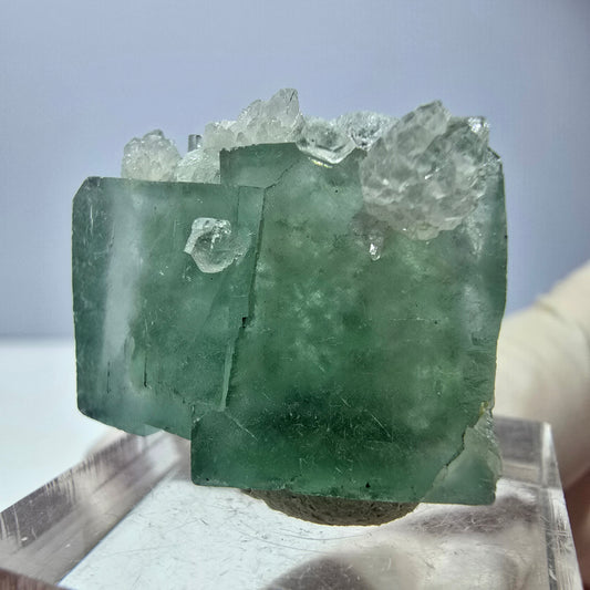 Seltene Phantom Fluorit Würfel, Quarz Stufe, grün Okorusu, Namibia 24*21*12mm