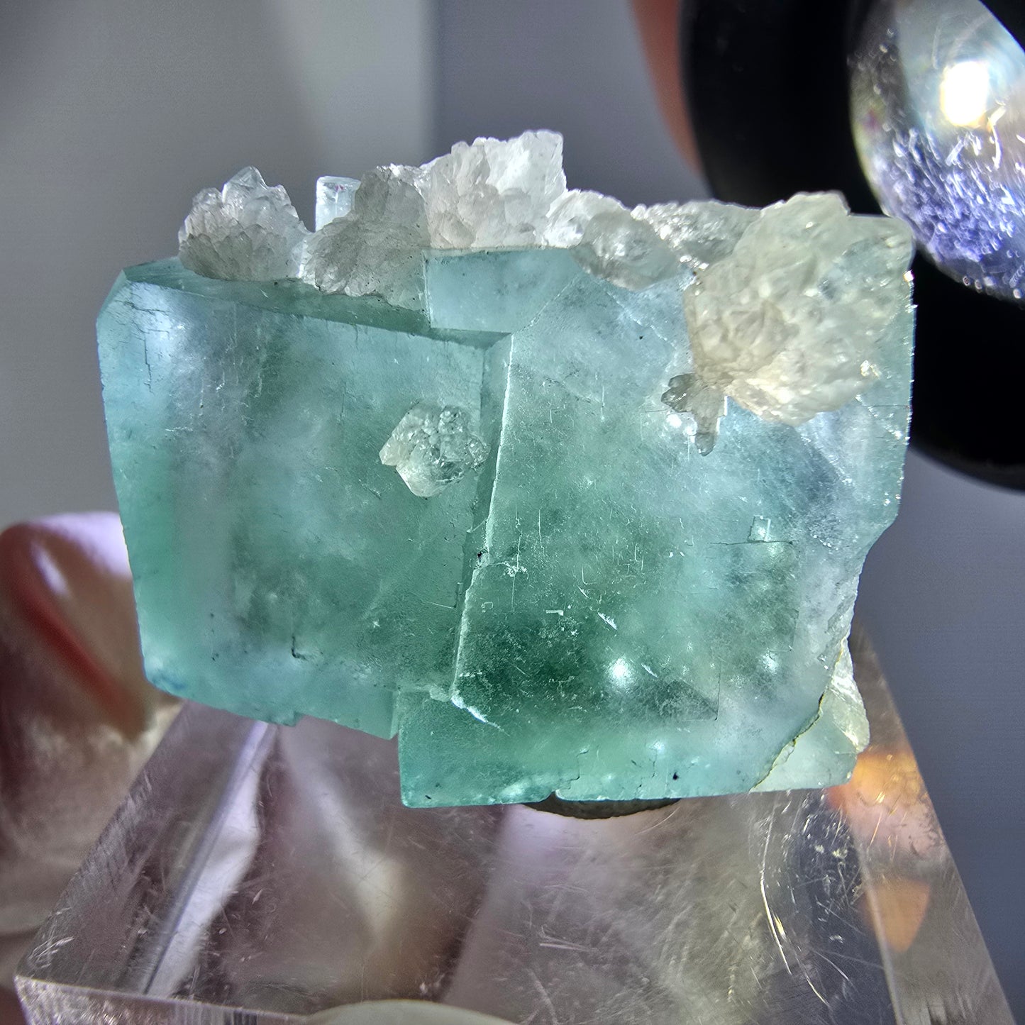 Seltene Phantom Fluorit Würfel, Quarz Stufe, grün Okorusu, Namibia 24*21*12mm