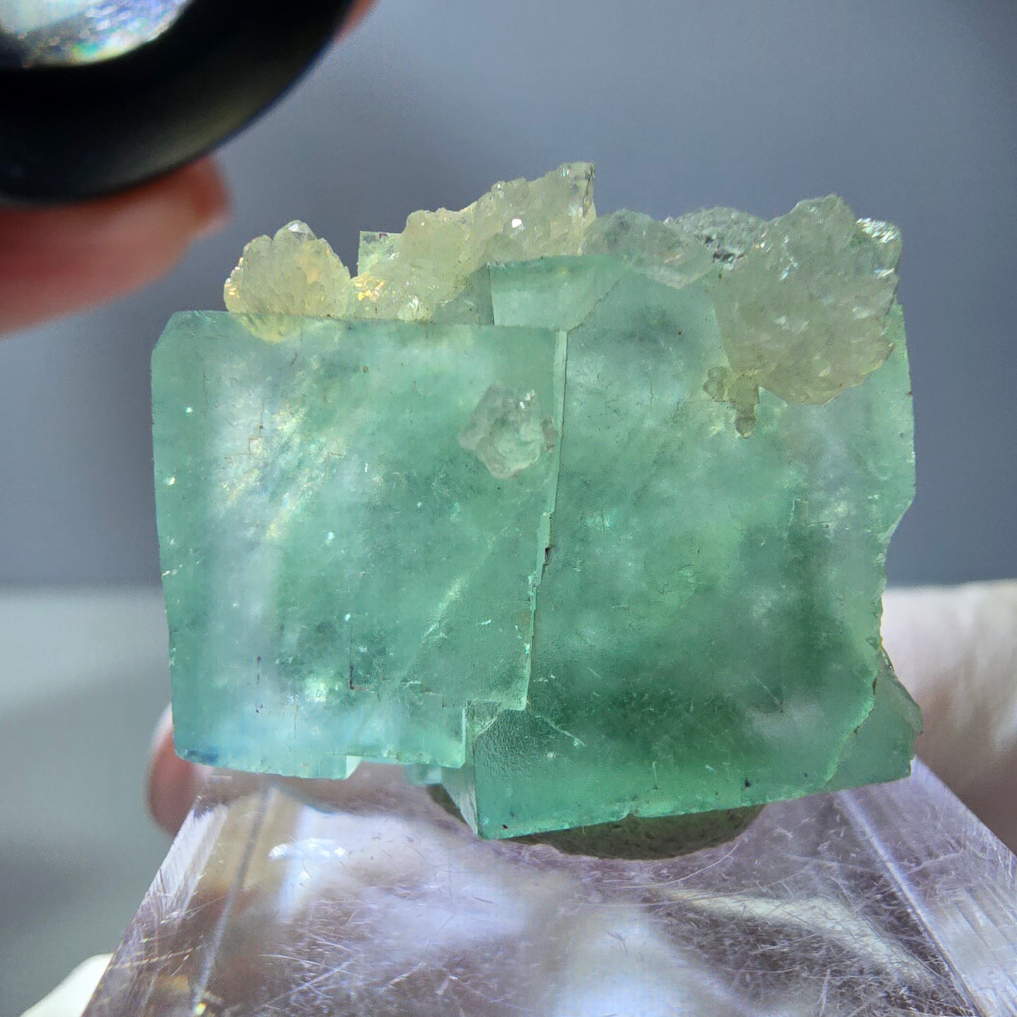 Seltene Phantom Fluorit Würfel, Quarz Stufe, grün Okorusu, Namibia 24*21*12mm