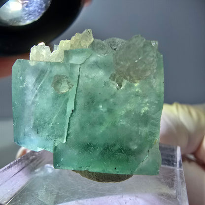 Seltene Phantom Fluorit Würfel, Quarz Stufe, grün Okorusu, Namibia 24*21*12mm