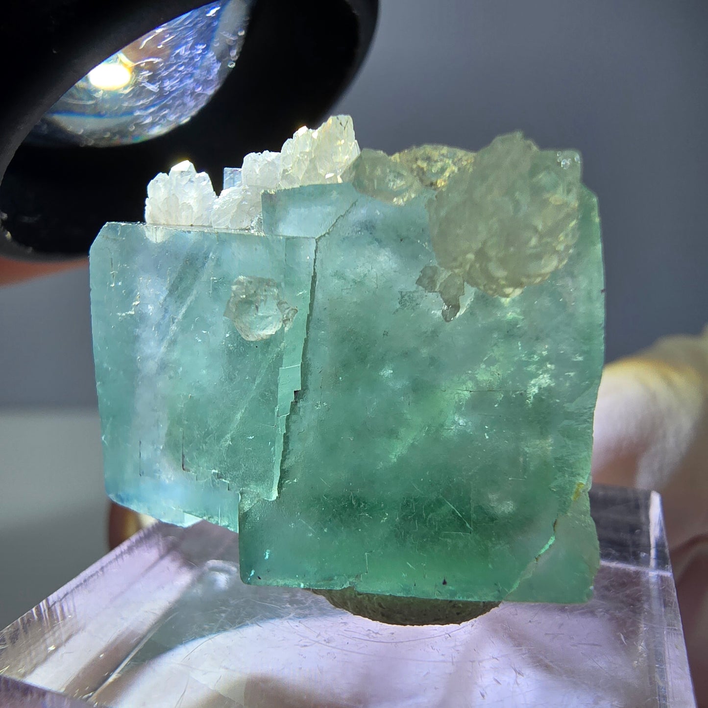 Seltene Phantom Fluorit Würfel, Quarz Stufe, grün Okorusu, Namibia 24*21*12mm