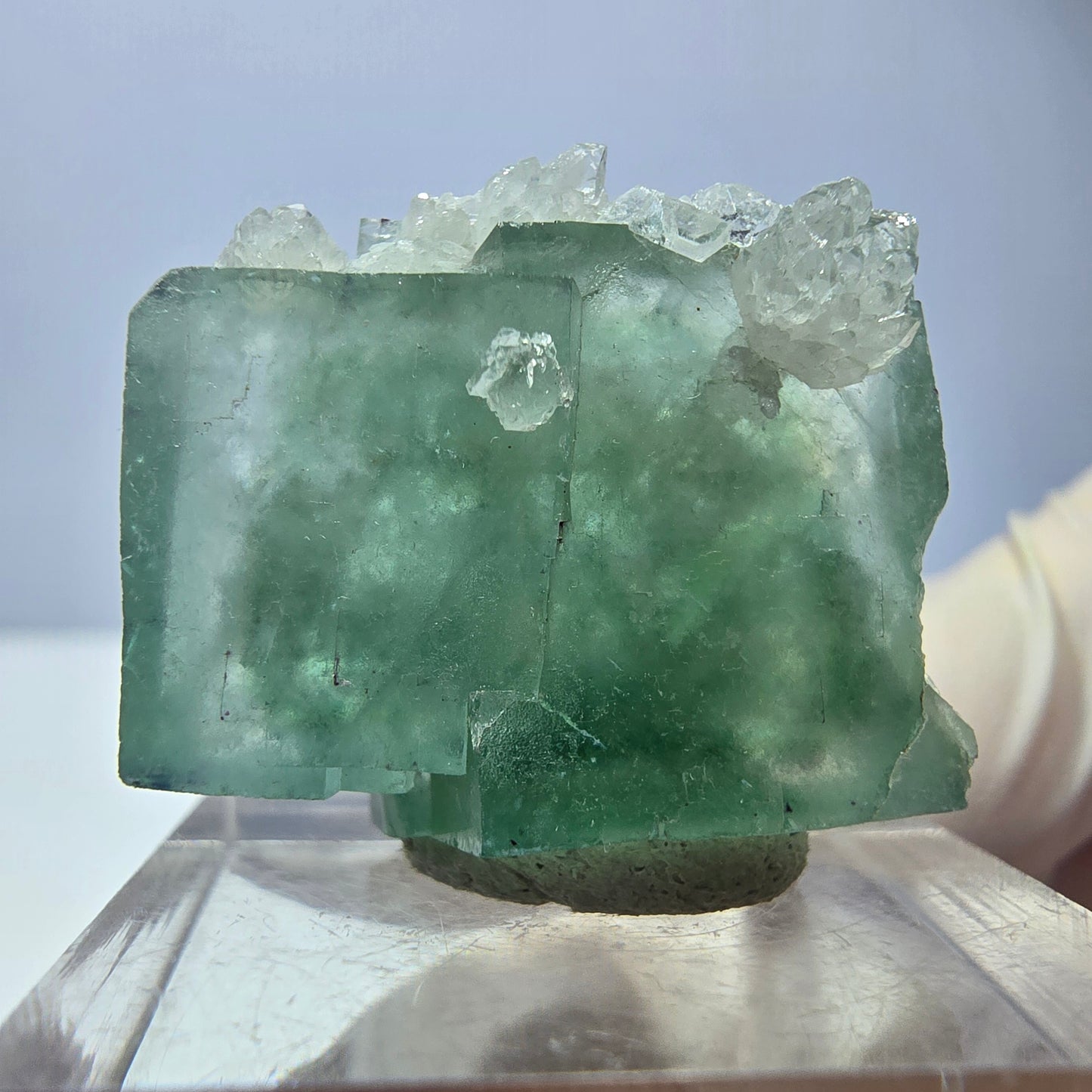 Seltene Phantom Fluorit Würfel, Quarz Stufe, grün Okorusu, Namibia 24*21*12mm