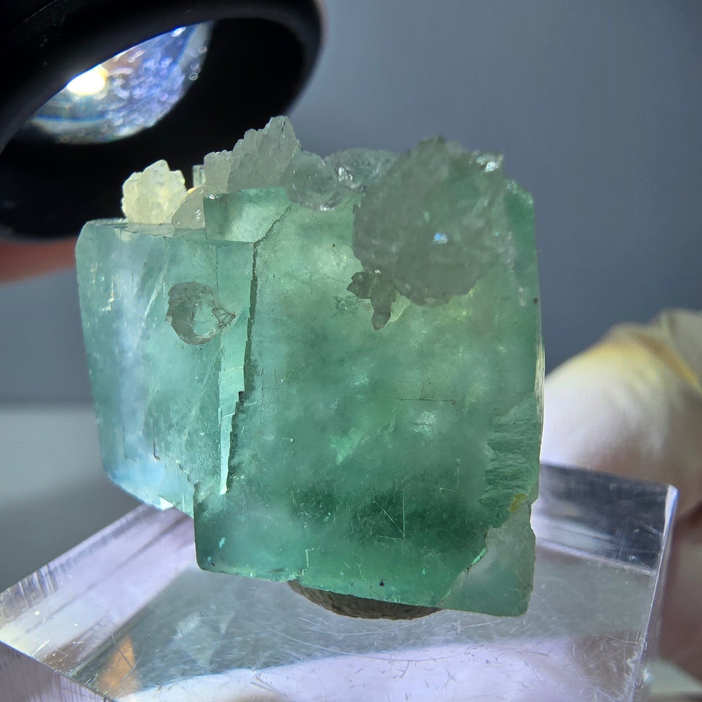 Seltene Phantom Fluorit Würfel, Quarz Stufe, grün Okorusu, Namibia 24*21*12mm