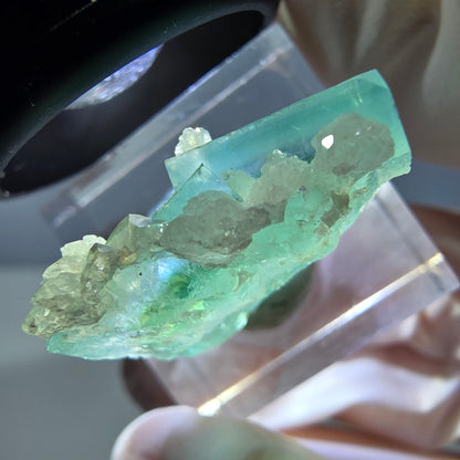 Seltene Phantom Fluorit Würfel, Quarz Stufe, grün Okorusu, Namibia 24*21*12mm
