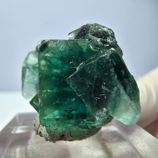 Phantom Fluorit Würfel Stufe, parkettiert grün Okorusu, Namibia 25*23*15mm