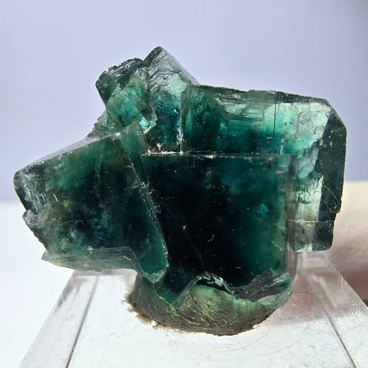 Phantom Fluorit Würfel Stufe, parkettiert grün Okorusu, Namibia 27*23*17mm