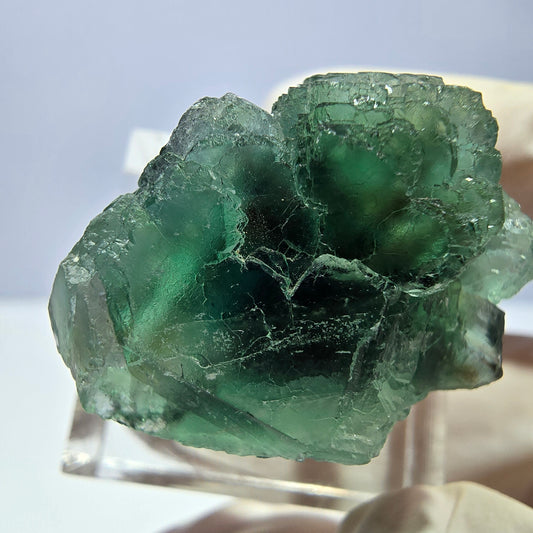 Phantom Fluorit Würfel Stufe, parkettiert grün Okorusu, Namibia 30*21*18mm