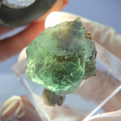 Seltene Phantom Fluorit Würfel, Quarz Stufe, grün Okorusu, Namibia 21*19*13mm