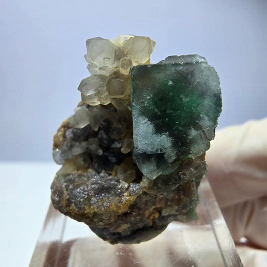 Seltene Phantom Fluorit Würfel, Quarz Stufe, grün Okorusu, Namibia 24*23*18mm
