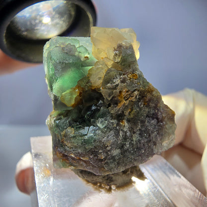 Seltene Phantom Fluorit Würfel, Quarz Stufe, grün Okorusu, Namibia 24*23*18mm