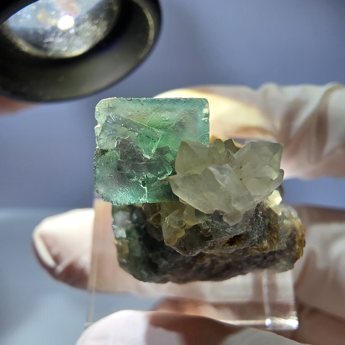 Seltene Phantom Fluorit Würfel, Quarz Stufe, grün Okorusu, Namibia 24*23*18mm