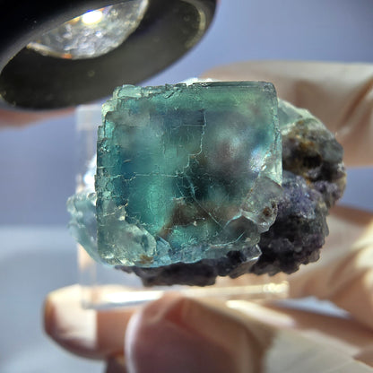 Seltene Phantom Fluorit Würfel, Quarz Stufe, grün Okorusu, Namibia 29*27*23mm