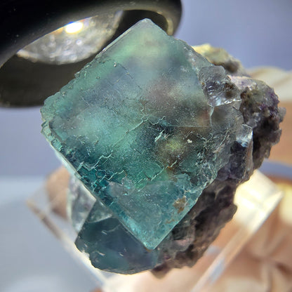 Seltene Phantom Fluorit Würfel, Quarz Stufe, grün Okorusu, Namibia 29*27*23mm