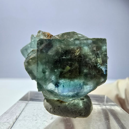 Phantom Fluorit Würfel Stufe, parkettiert grün Okorusu, Namibia 28*18*18mm