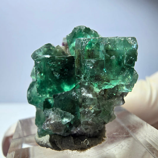 Phantom Fluorit Würfel Stufe, parkettiert grün Okorusu, Namibia 26*24*16mm