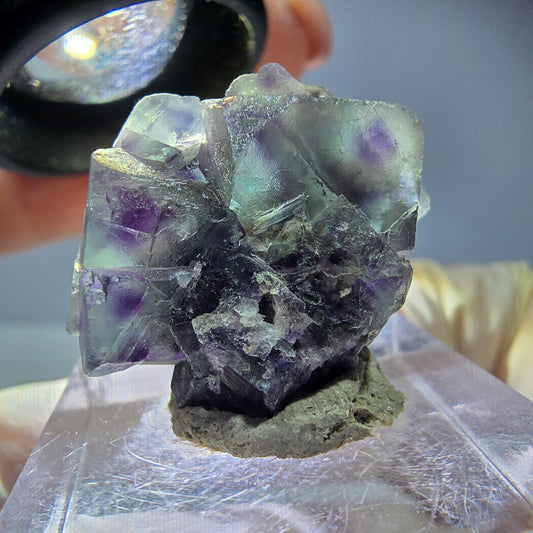 Seltene Phantom Fluorit Würfel Stufe, grün lila Okorusu, Namibia 25*21*15mm