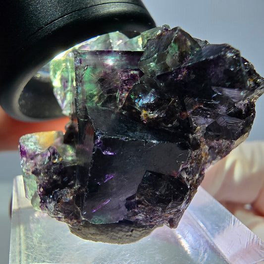 Seltene Phantom Fluorit Würfel Stufe, grün lila Okorusu, Namibia 35*28*17mm