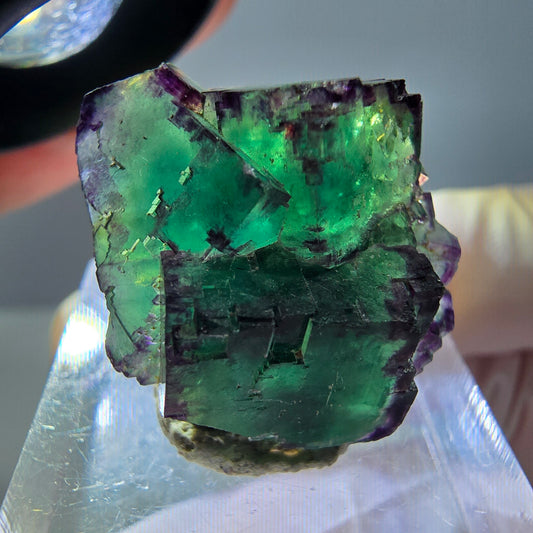 Seltene Phantom Fluorit Würfel Stufe, grün lila Okorusu, Namibia 21*21*13mm
