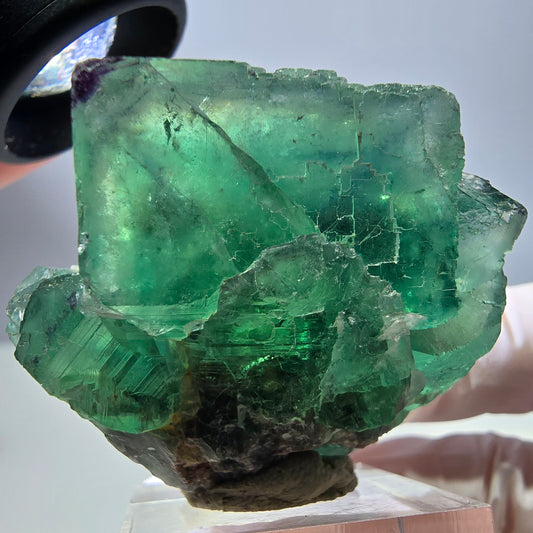 Seltene Phantom Fluorit Würfel Stufe, grün lila Okorusu, Namibia 47*39*25mm