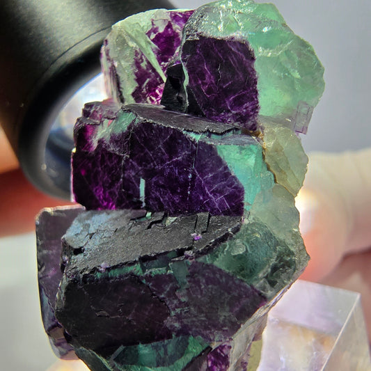 Phantom Fluorit Würfel Stufe, grün lila 11:11 Angel Pocket, Namibia 41*29*16mm