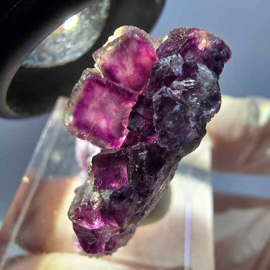 Seltene Phantom Fluorit Würfel, Quarz Stufe, lila Okorusu, Namibia 29*26*12mm