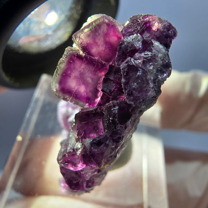 Seltene Phantom Fluorit Würfel, Quarz Stufe, lila Okorusu, Namibia 29*26*12mm