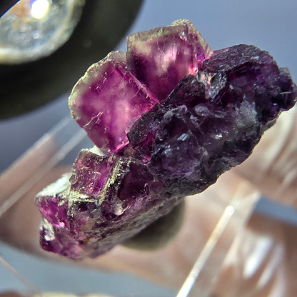 Seltene Phantom Fluorit Würfel, Quarz Stufe, lila Okorusu, Namibia 29*26*12mm