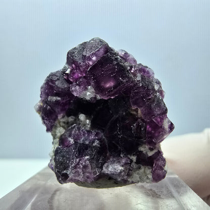 Seltene Phantom Fluorit Würfel, Quarz Stufe, lila Okorusu, Namibia 29*26*12mm