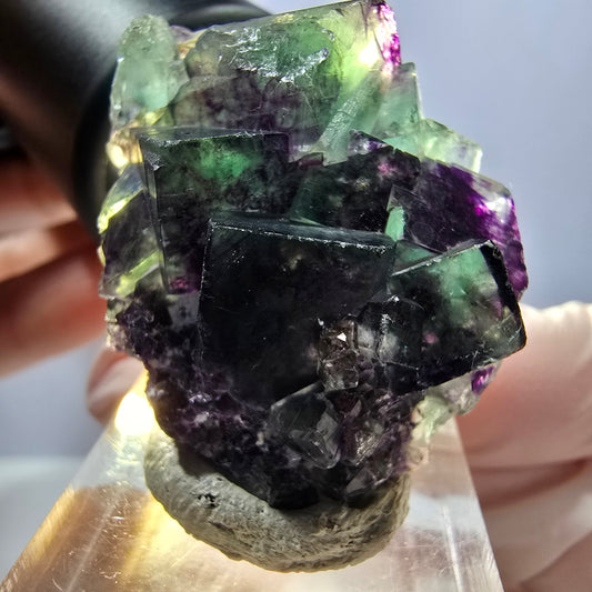 Seltene Phantom Fluorit Würfel Stufe, grün lila Okorusu, Namibia 35*34*17mm