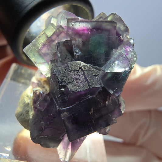 Seltene Phantom Fluorit Würfel Stufe, grün lila Okorusu, Namibia 36*25*19mm