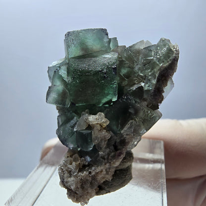 Seltene Phantom Fluorit Würfel, Quarz Stufe, grün lila Okorusu, Namibia 32*27*15mm