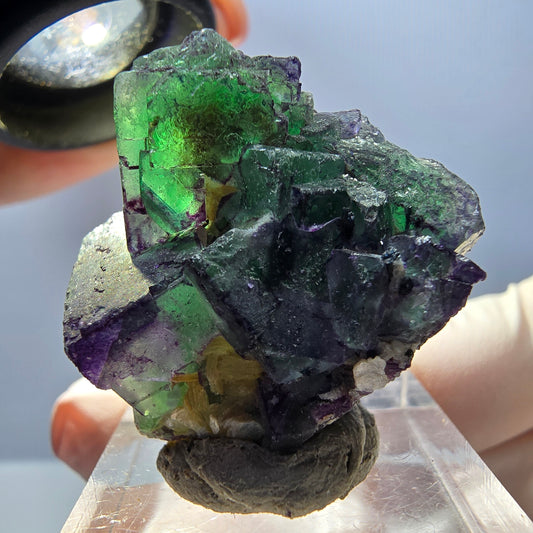 Seltene Phantom Fluorit Würfel Stufe, grün lila Okorusu, Namibia 34*31*19mm