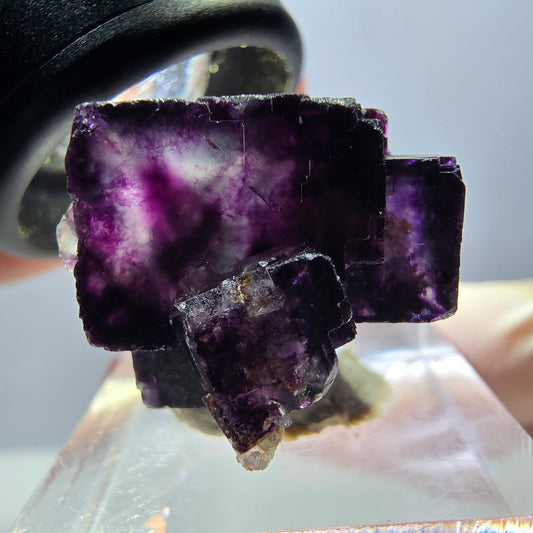 Seltene Phantom Fluorit Würfel Stufe, grün lila Okorusu, Namibia 21*20*16mm