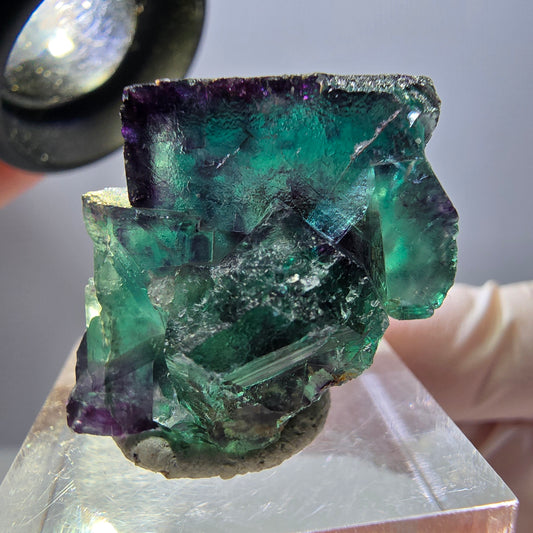 Seltene Phantom Fluorit Würfel Stufe, grün lila Okorusu, Namibia 25*24*21mm