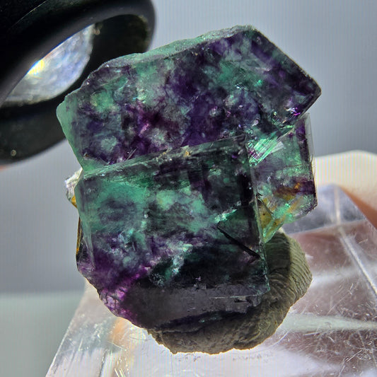 Seltene Phantom Fluorit Würfel Stufe, grün lila Okorusu, Namibia 21*21*14mm